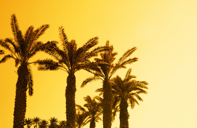 Similar image 462490