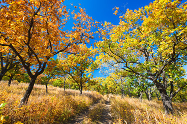 Similar image 462491