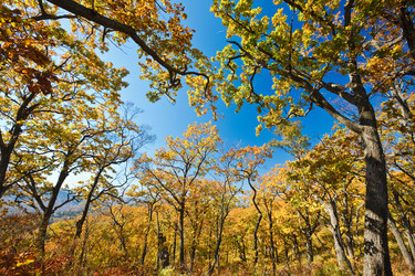 Similar image 462493