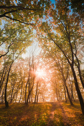 Similar image 462494