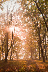 Similar image 462495