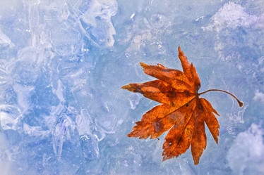 Similar image 462503