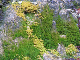 Similar image 462546