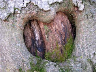 Similar image 462548