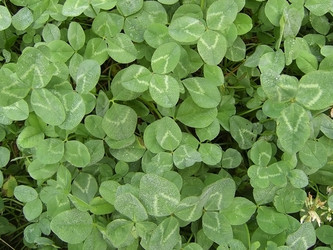 Similar image 462590