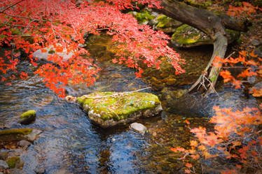 Similar image 462640