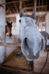 Similar image 462647