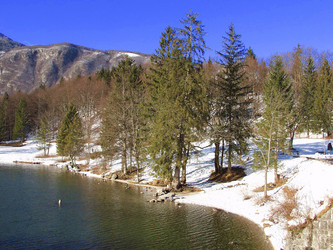 Similar image 462649