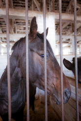 Similar image 462657