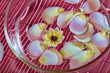 Similar image 462720