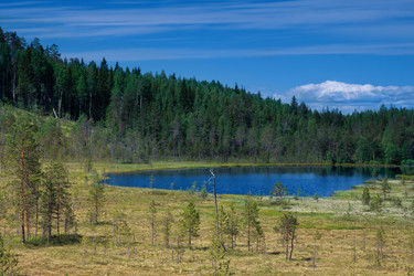 Similar image 462816