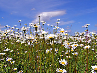 Similar image 462866