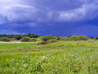 Similar image 462868