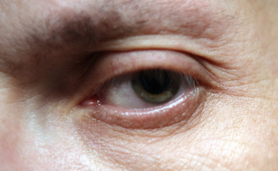 Similar image 462932