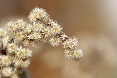 Similar image 463059