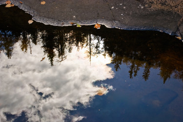 Similar image 463063