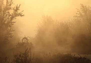 Similar image 463066