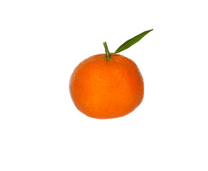 Similar image 463072