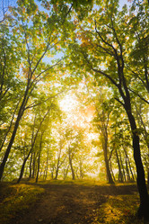 Similar image 463095