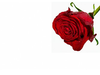 Similar image 463099