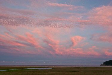 Similar image 463118