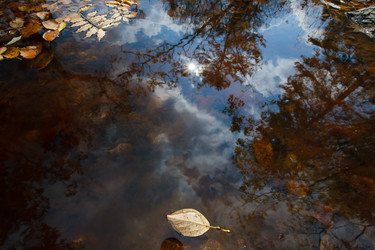 Similar image 463135