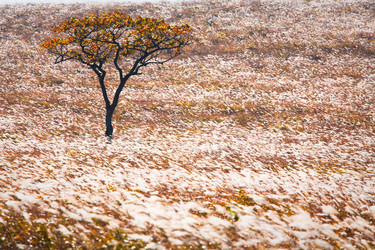 Similar image 463148