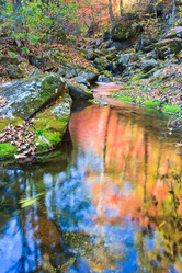 Similar image 463233