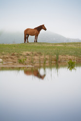 Similar image 463242