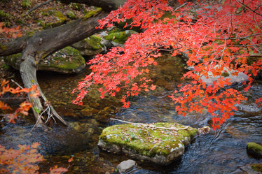 Similar image 463260