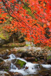 Similar image 463261