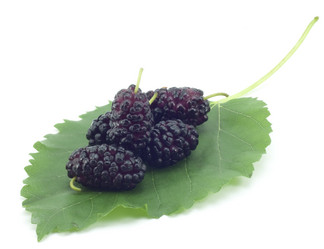 Similar image 463262