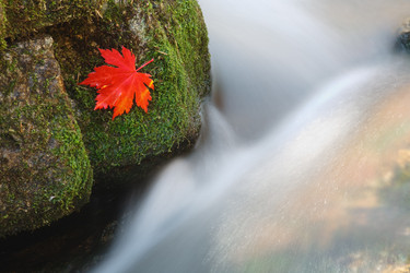 Similar image 463293