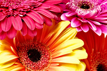 Similar image 463309