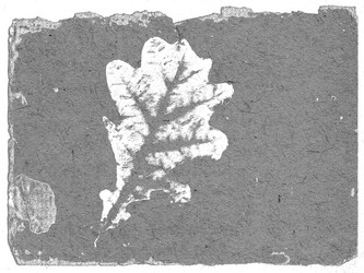 Similar image 463335