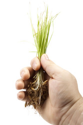 Similar image 463493