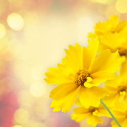 Similar image 463499