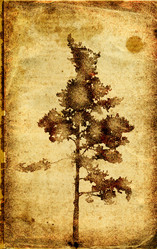 Similar image 463504