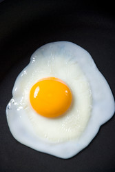 Similar image 463686