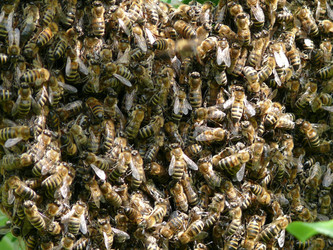 Similar image 463700