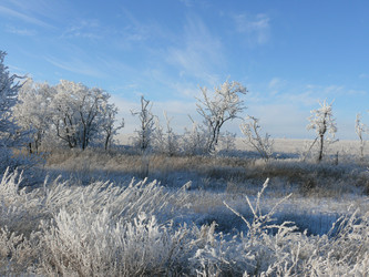 Similar image 463706