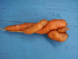 Similar image 463710