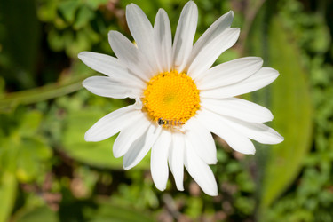 Similar image 463753