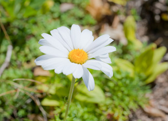 Similar image 463762