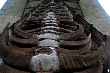 Similar image 463769