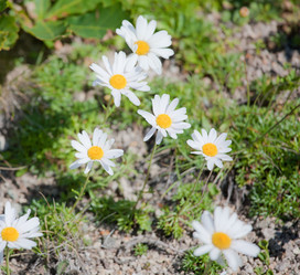 Similar image 463772