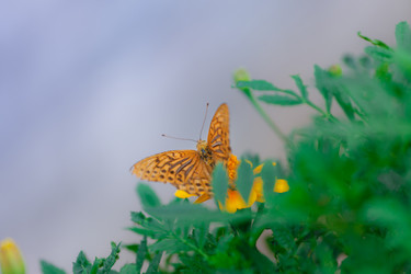 Similar image 463787