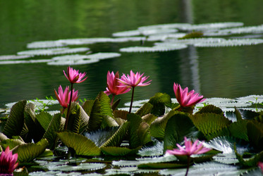 Similar image 463798