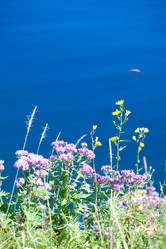 Similar image 463814