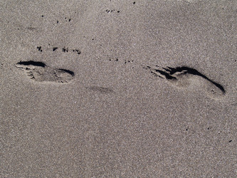 Similar image 463820